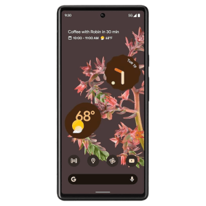 Google Pixel 6