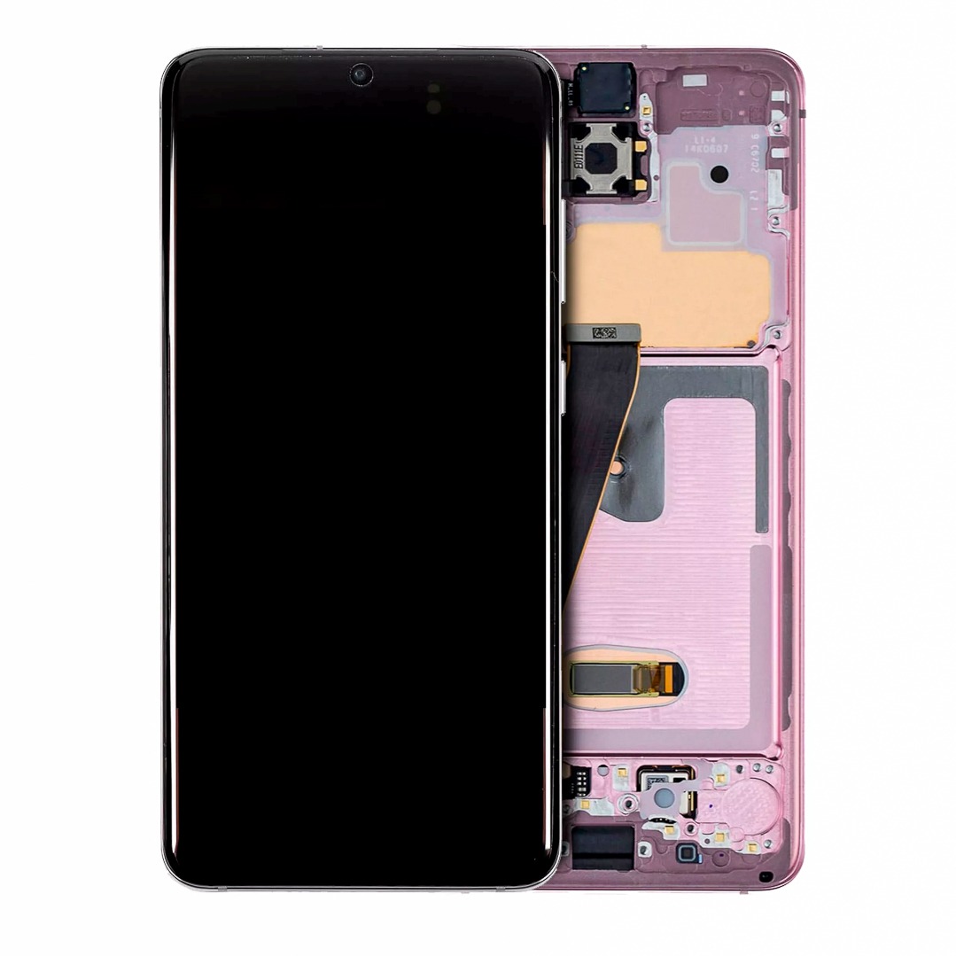 OLED Assembly with Frame for Samsung Galaxy S20 5G