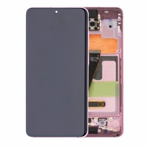 OLED Assembly with Frame for Samsung Galaxy S20 5G