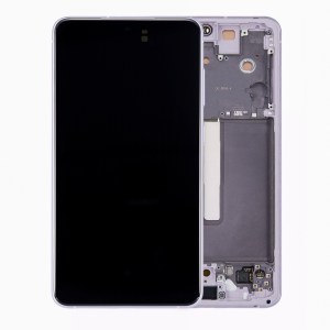 OLED Assembly with Frame for Samsung Galaxy S21 FE