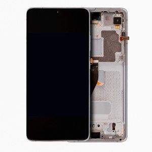 OLED Assembly with Frame for Samsung Galaxy S21 Ultra