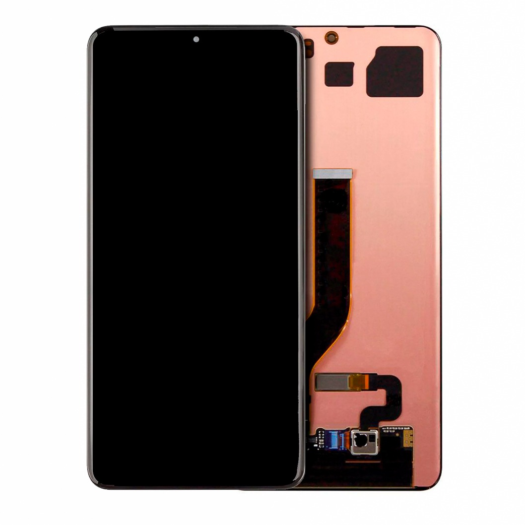 OLED Assembly without Frame for Samsung Galaxy S20 Plus