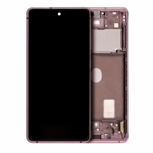 OLED Assembly with Frame for Samsung Galaxy S20 FE
