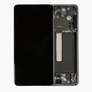 OLED Assembly with Frame for Samsung Galaxy S21 FE