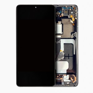 OLED Assembly with Frame for Samsung Galaxy S21 Ultra