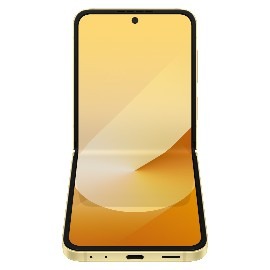Samsung Galaxy Z Flip 6 SM-F741 2024
