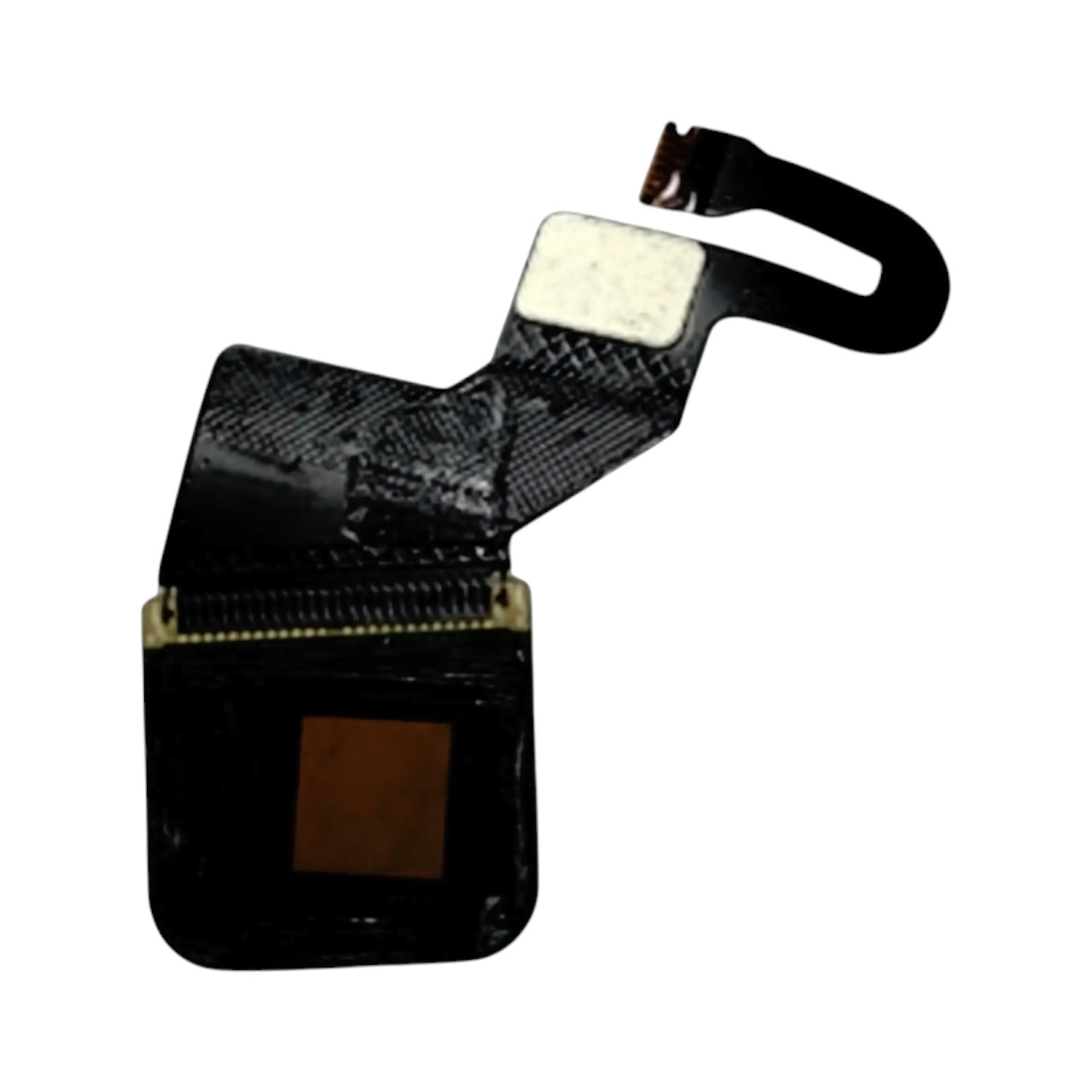 Replacement fingerprint sensor flex cable for Google Pixel 6 Pro.